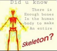 Skeleton meme